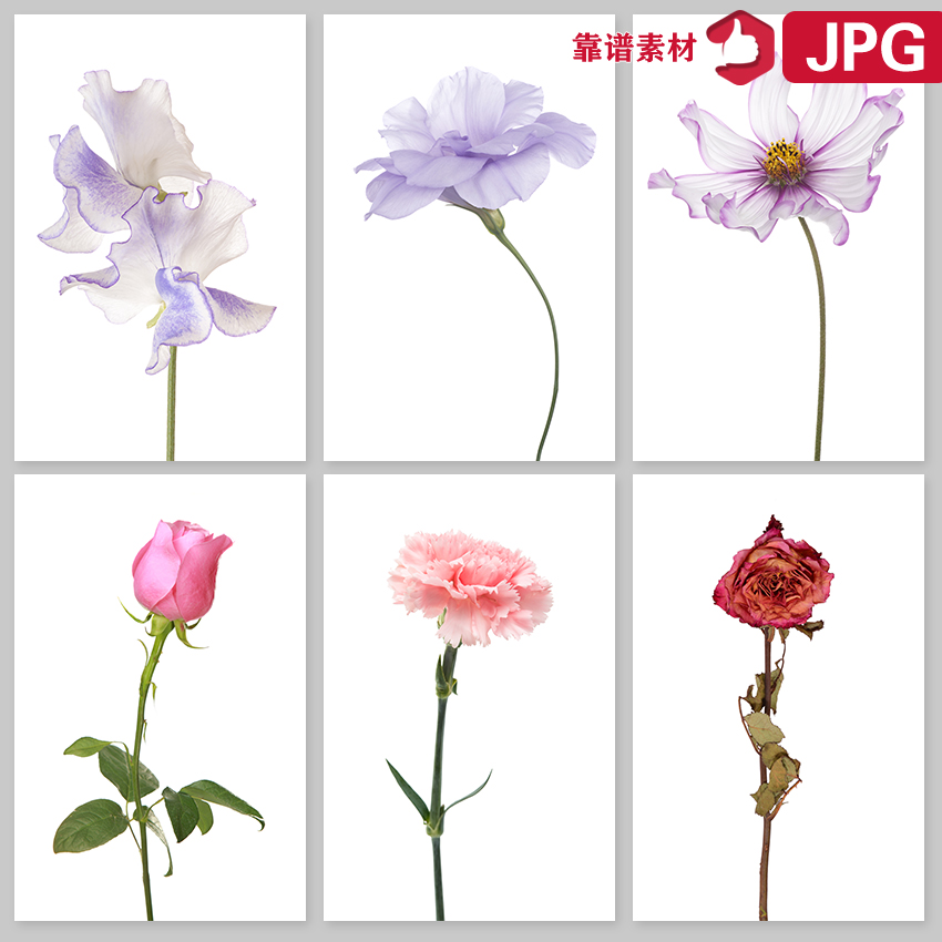唯美现代简约花卉鲜花玫瑰花等装饰画框画图片JPG设计素材