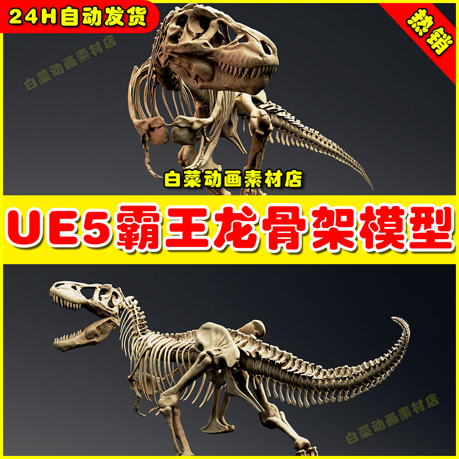 UE5 Tyrannosaurus Rex Sue Skeleton 霸王龙恐龙骨架模型5.2
