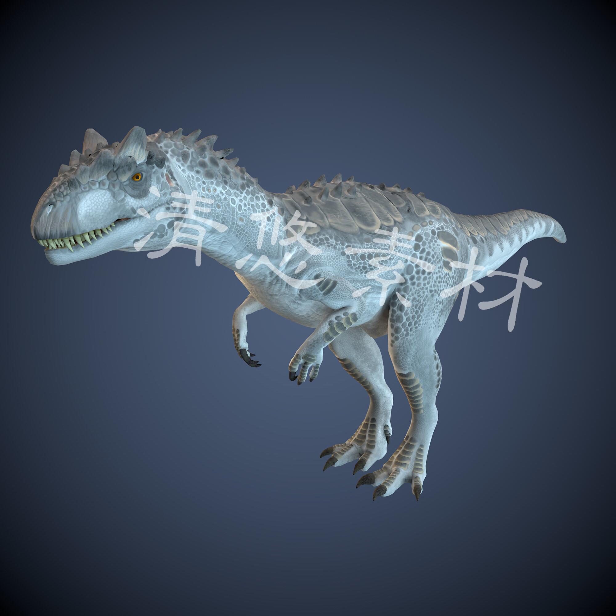 c4d fbx格式霸王龙骨骼绑定模型恐龙动物带动画动作参考练习 955