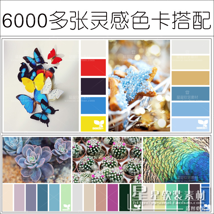 星星软装-6000多张色卡色彩搭配配色排版参考图片 室内设计素材