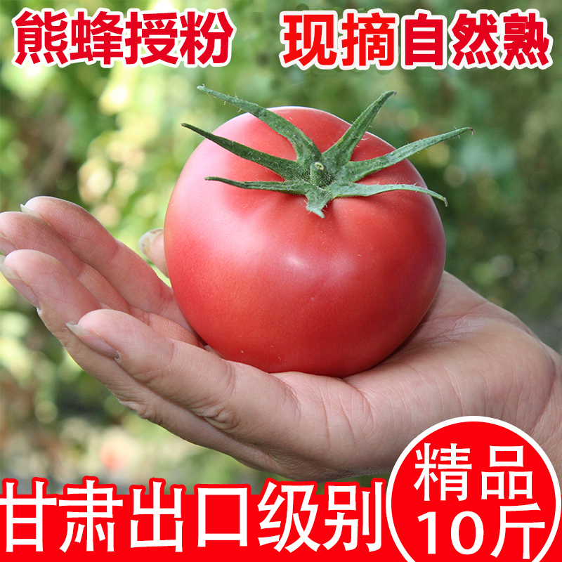 甘肃戈壁普罗旺斯西红柿新鲜自然熟水果番茄生吃农家蔬菜现摘
