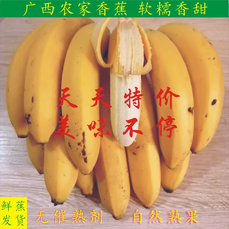 天天特价新鲜香蕉 新鲜banana  新鲜水果 农家香蕉现砍现发包邮