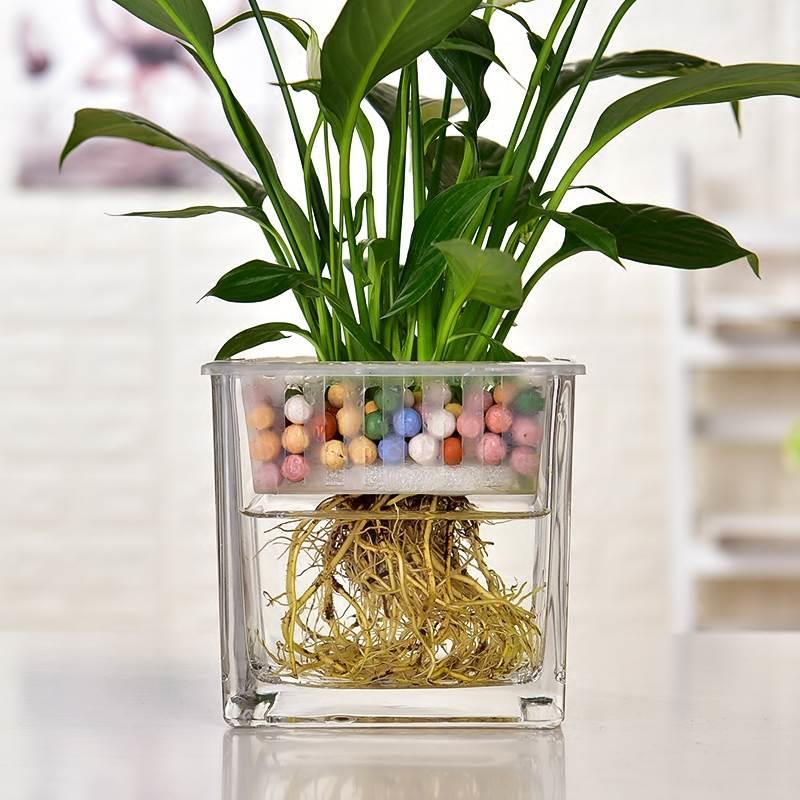 大号玻璃花盆水培容器透明创意个性绿萝植物多功能水养花瓶器皿