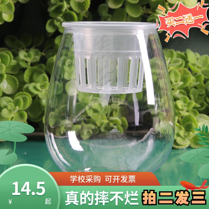摔不碎的花瓶仿玻璃瓶子绿植透明塑料仿真防摔器皿水培花盆高级感