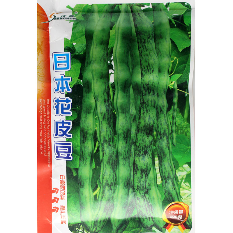 日本花皮豆种子 高产春秋播种蔬菜种籽 四季豆菜豆芸豆早熟架豆角