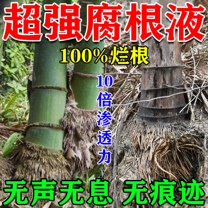 灭竹子的药竹根连根烂杀竹烂根药专用强力灭竹根除竹烂根药一扫光