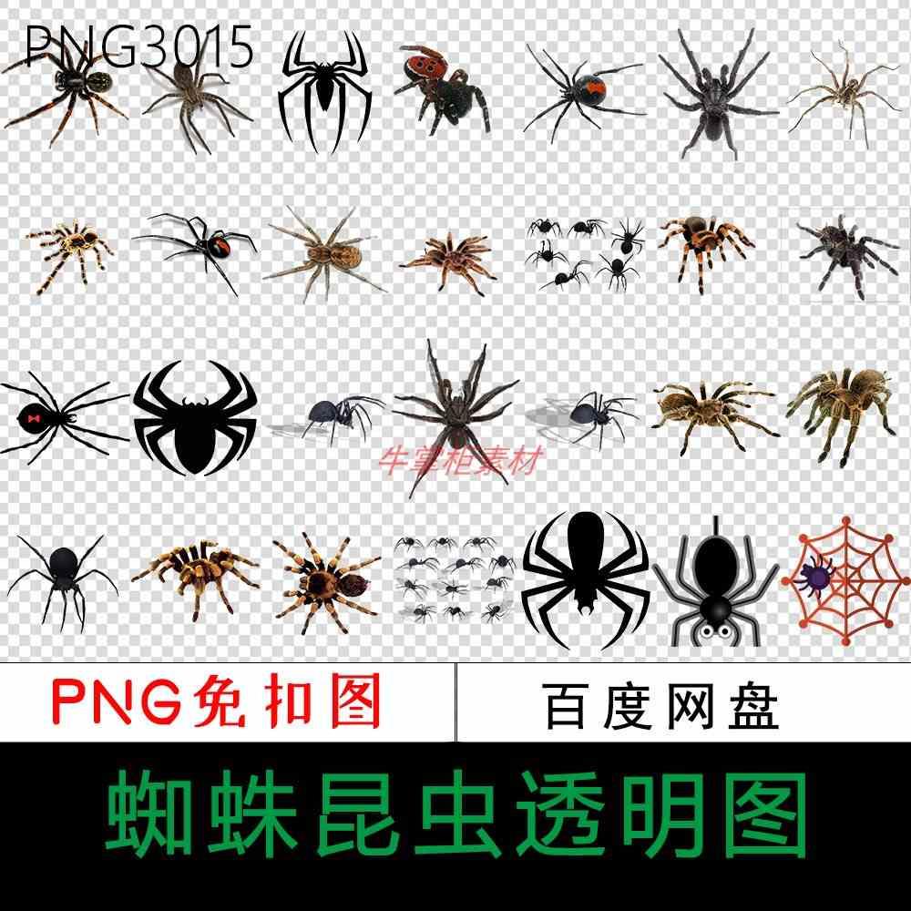 蜘蛛丝网昆虫剪影免抠元素免扣png格式卡通图片平面设计透明素材
