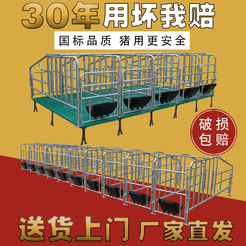 母猪定位栏母猪产床落地式加厚10位猪用限位栏厂家直销养殖设备