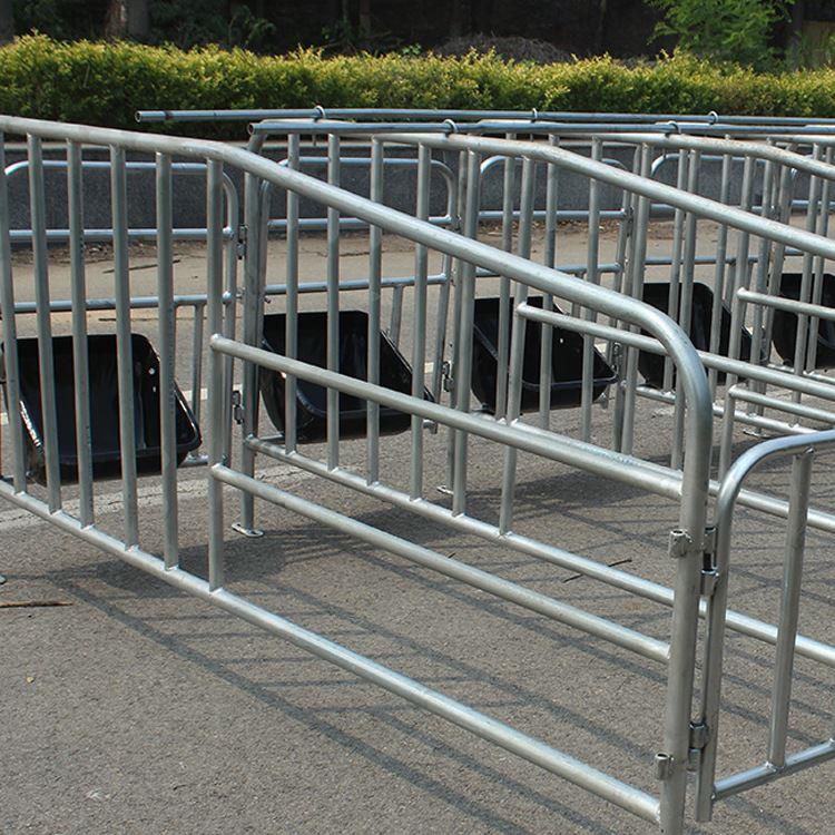 双体定位栏 母猪保育栏 养猪设备限位栏提供安装