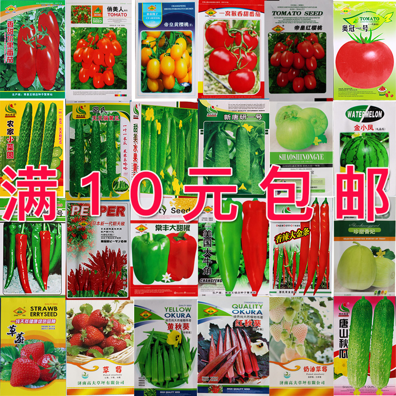 樱桃西红柿种子高产易四季播种阳台园艺无土栽培天然水果易种菜籽