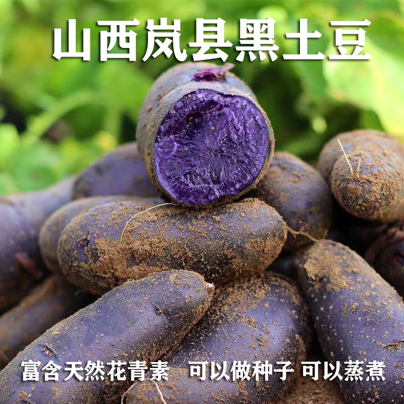 山西吕梁岚县黑色土豆黑金刚新鲜蔬菜紫土豆黑美人紫色马铃薯蒸煮