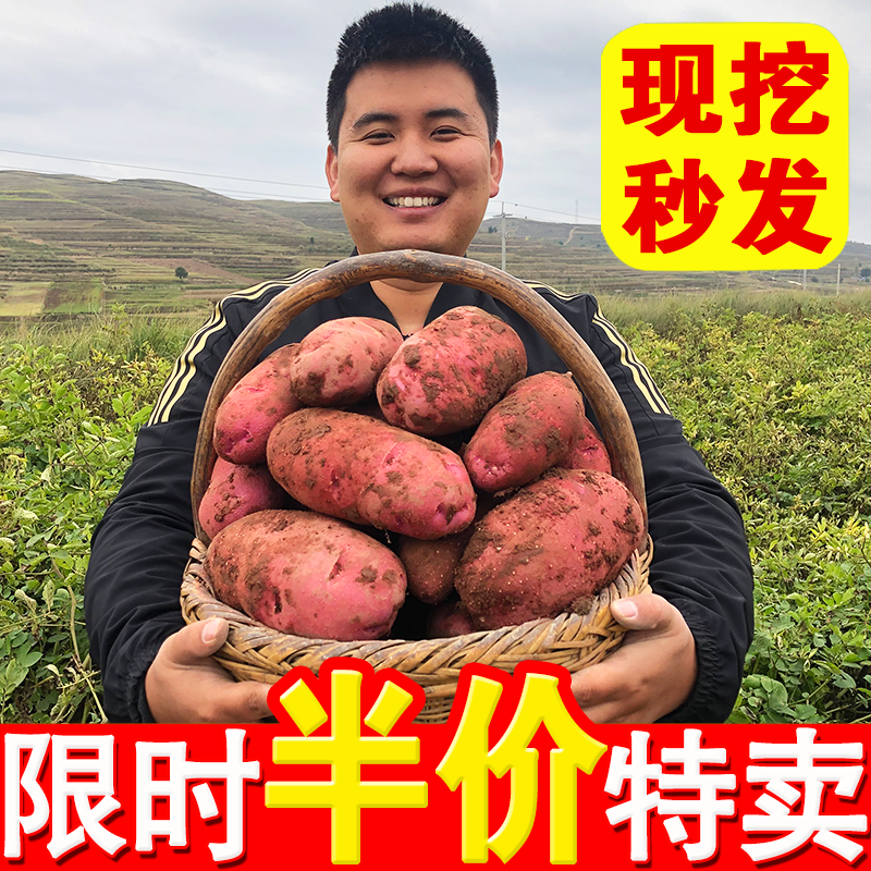 宁夏西吉红皮土豆新鲜黄心老品种10斤包邮沙面蒸烤土豆云甘肃定西