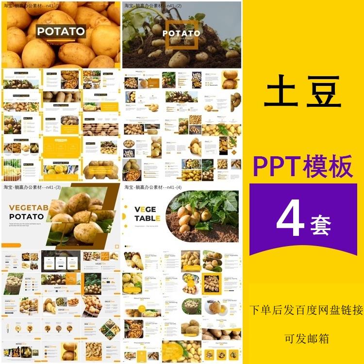 土豆马铃薯介绍农产品植物蔬菜认识种植食物简介主题背景ppt模板
