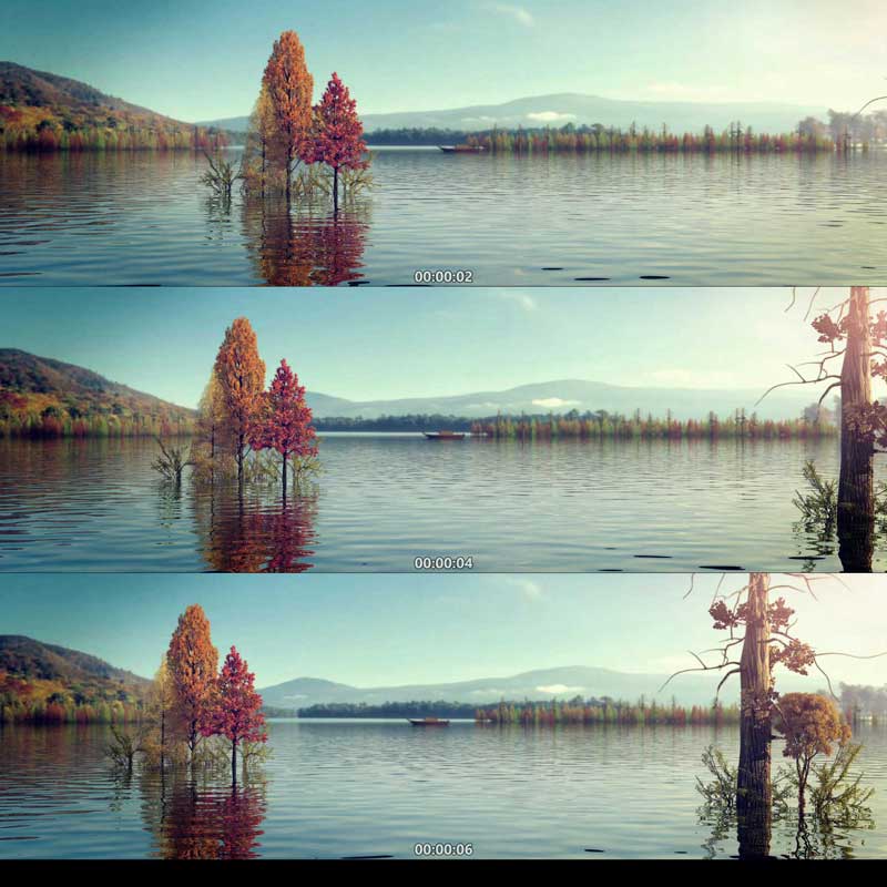 437湖面风景水杉自然风光三维动画