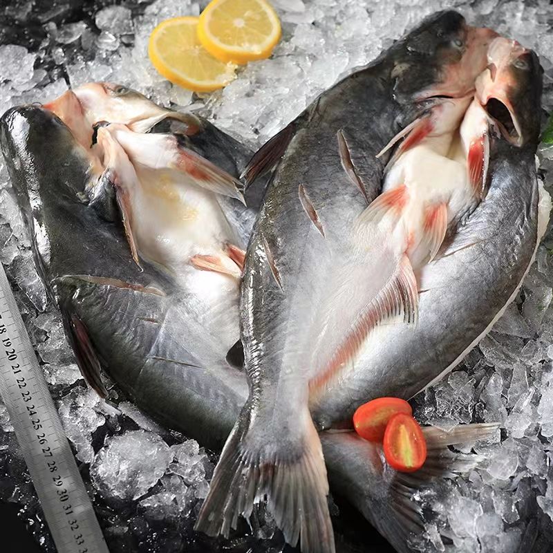 腌制入味湄公鱼900-1000g烤鱼开背巴沙鱼活杀纸包鱼量多优惠