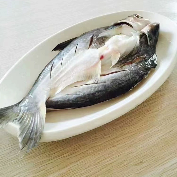 巴沙鱼和湄公鱼