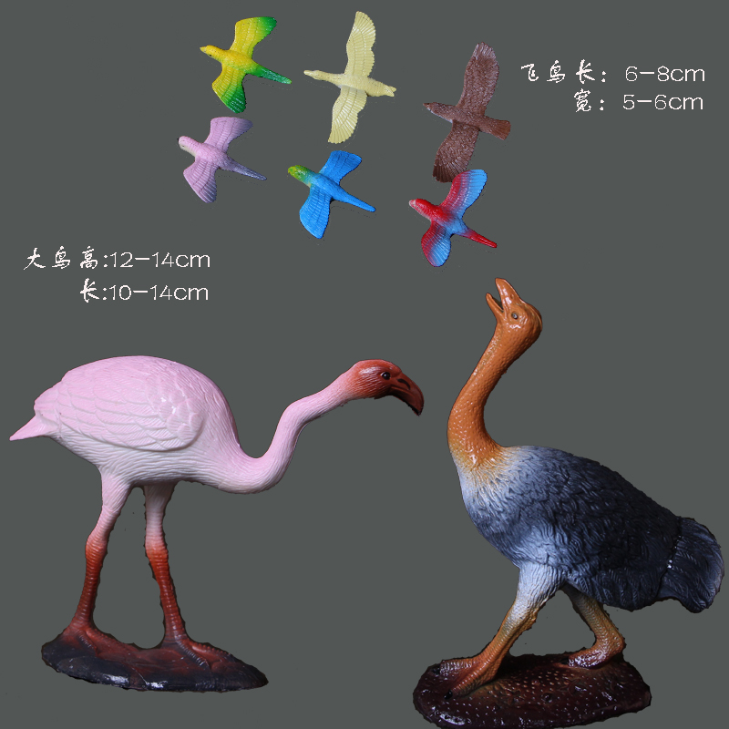 爆款 包邮！8只飞行鸟类大雁鹦鹉火烈鸟鸵鸟仿真动物儿童玩具模型