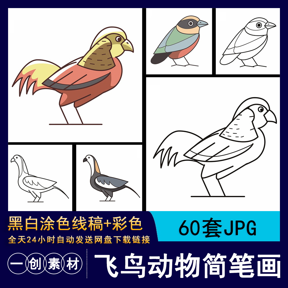 1314幼儿园绘画涂鸦填色鸽子金鸡飞行鸟类动物简笔画线稿电子素材
