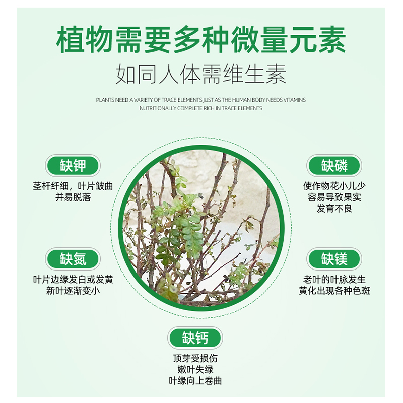 小叶女贞盆景专用肥小叶水蜡树营养液喷叶肥造型树常年茂盛有机肥