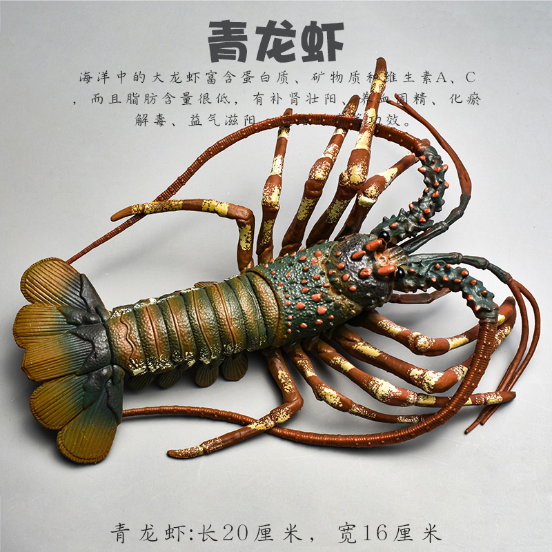 澳洲龙虾儿童仿真海洋动物玩具模型龙虾黑虎虾皮皮虾罗氏虾过家家