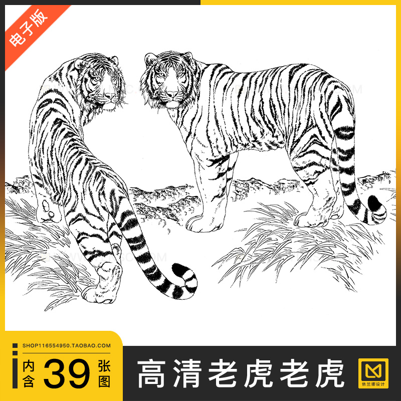 老虎大型猫科动物超高清线稿工笔画白描图片新手绘画练习临摹素材