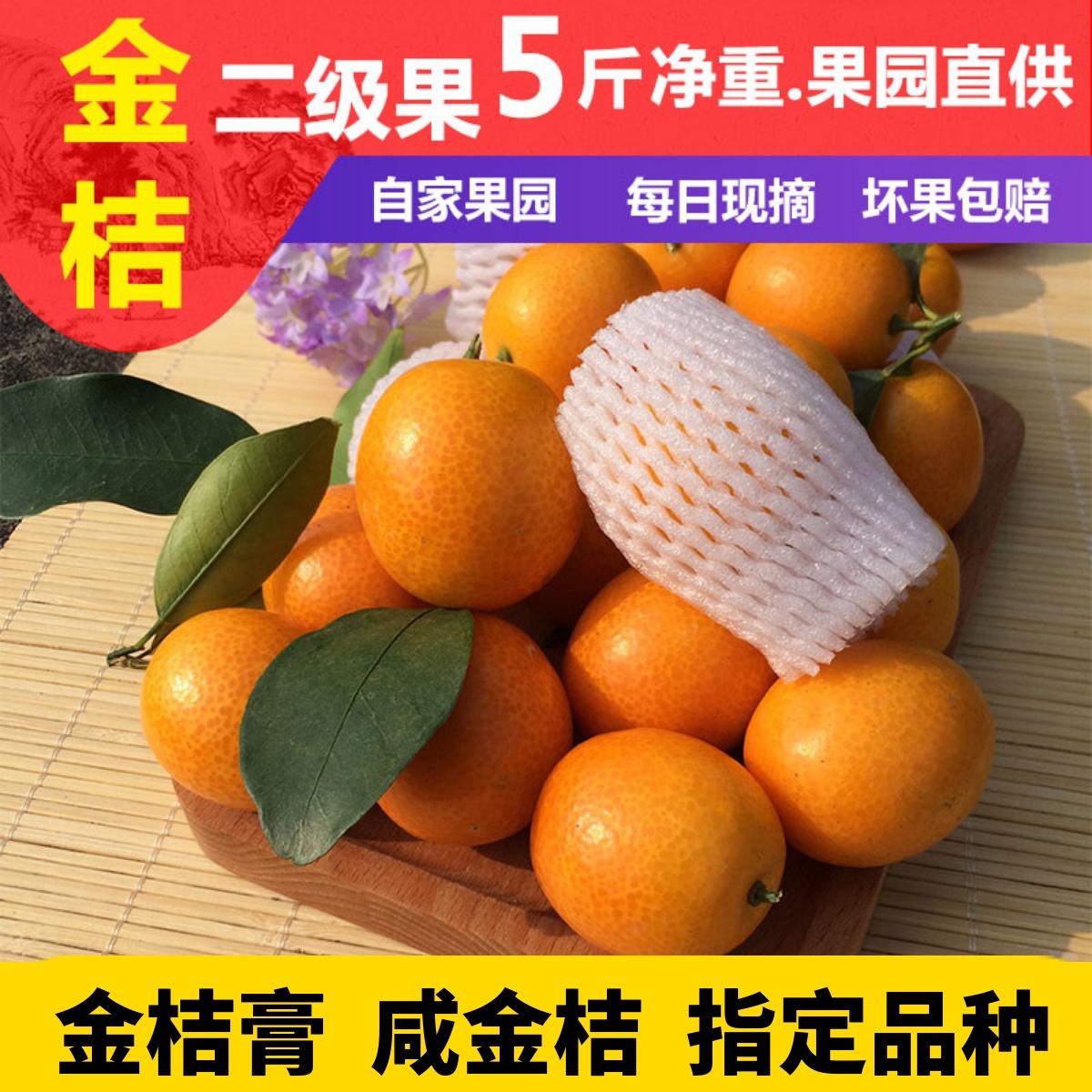 广西阳朔油皮金桔当季新鲜现摘酸甜水果麻皮小金桔柑橘子 5斤包邮