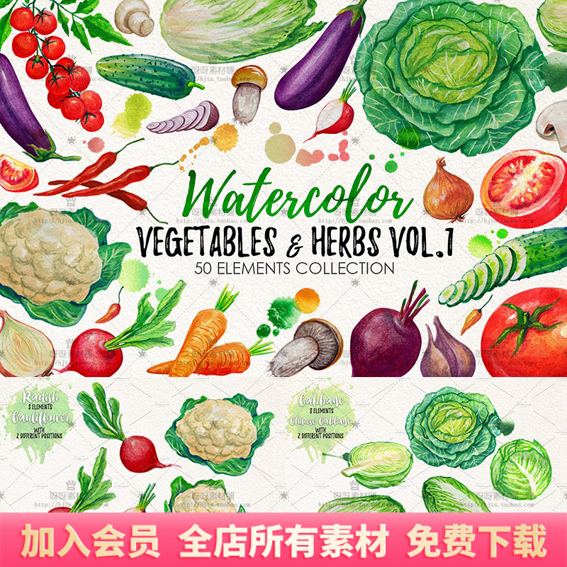 蔬菜黄瓜番茄白菜萝卜香菇茄子洋葱手绘水彩PNG免抠海报设计素材