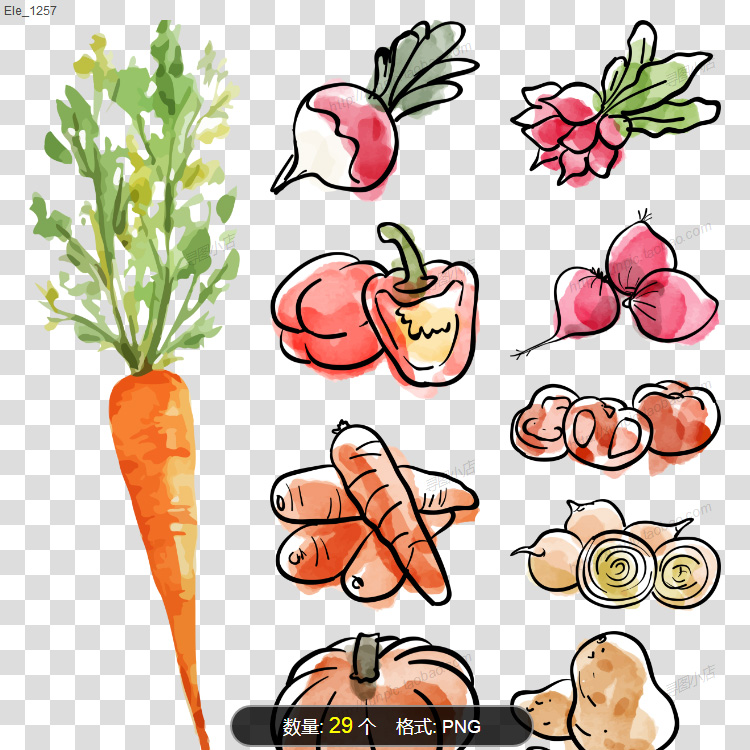 手绘蔬菜简笔画胡萝卜素材高清PNG图片红薯辣椒西红柿土豆洋葱花