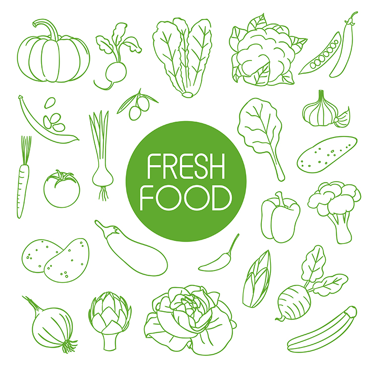 线描蔬菜 手绘绿色蔬菜蔬果食品线稿元素图标 AI格式矢量设计素材