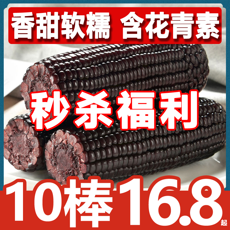 东北黑龙江当季鲜食玉米棒真空装甜糯玉米组合粗粮新鲜苞米非即食