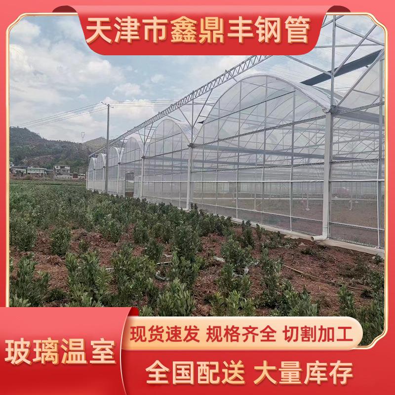 业1厂家设计安装 连栋薄大棚温室花卉养殖棚 种植棚 农蔬菜膜大棚