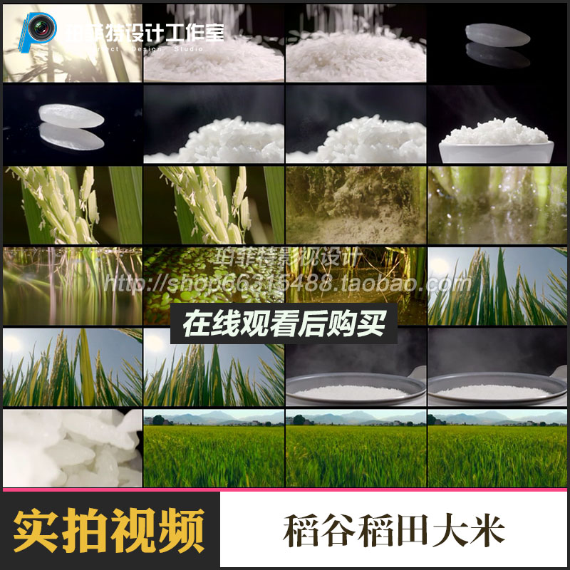 稻谷稻田大米特写米饭香米宣传片高清实拍视频素材