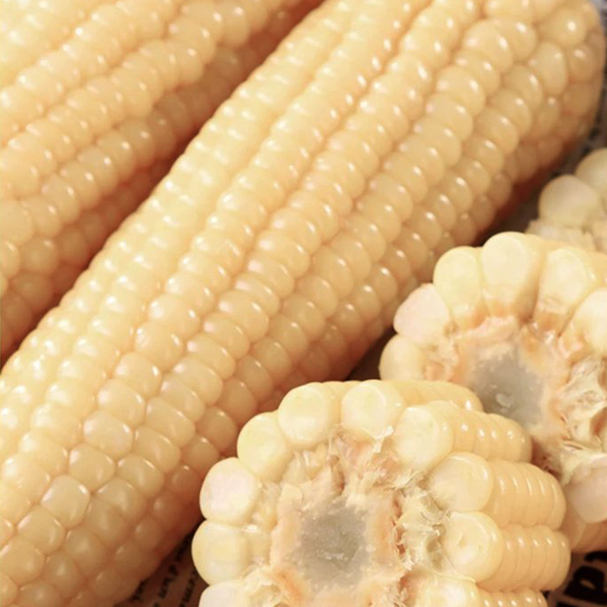 远系玉米非近亲杂交 种源正宗 非转基因 无添加 甜加糯