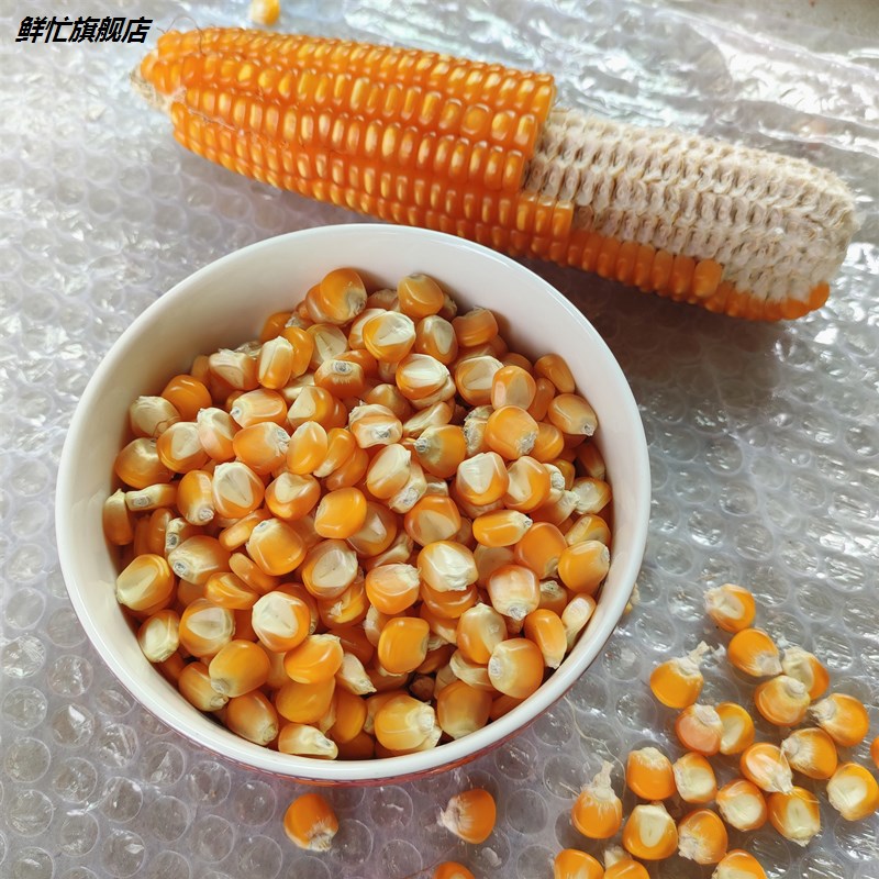 干玉米粒贵州农家自产老品种黄玉米非转基因非杂交黄包谷粗粮杂粮