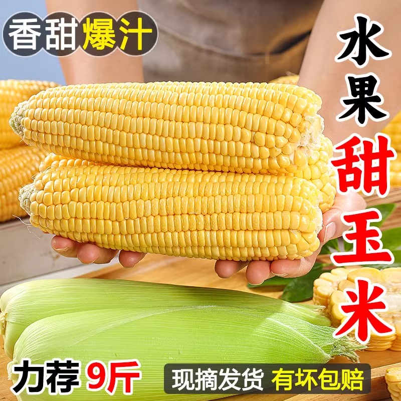 新鲜水果玉米5斤甜嫩玉米现摘爆浆牛奶生的玉米棒子黄金蔬菜包邮9