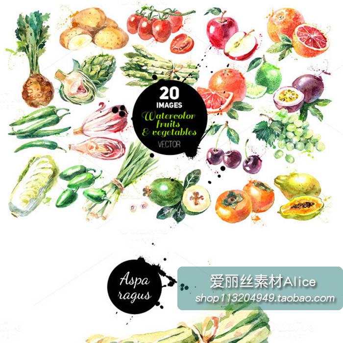[187]水彩手绘蔬菜水果插画土豆圣女果白菜番石榴 AI矢量设计素材