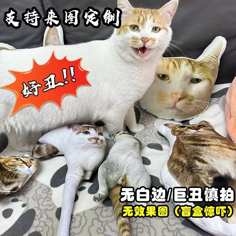 丑猫抱枕来图定制无白边印真人照片定做异形宠物枕头猫狗靠枕礼物