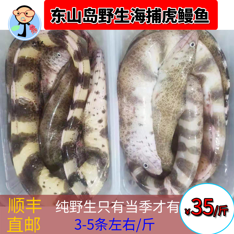 顺手买一件虎鳗鱼鲜活海鲜花善鳗鲡照烧鳗鱼油鳗450克*2份
