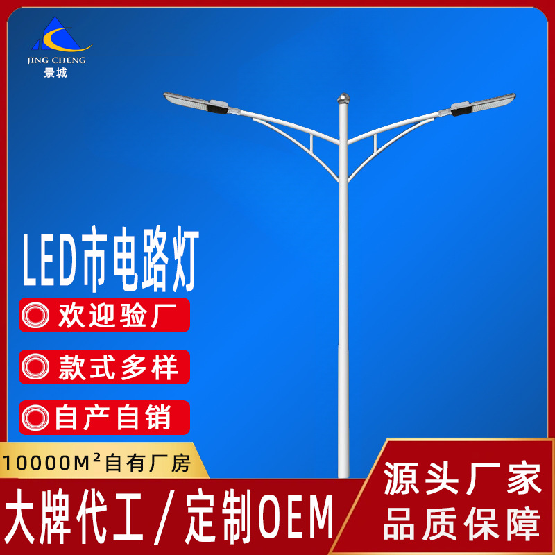 源头厂家定制款LED市电路灯8米10米双臂道路照明城市亮化工程路灯