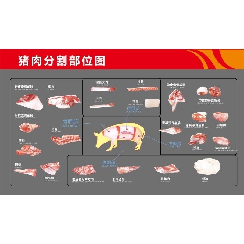 猪肉分割部位图海报展板猪肉藏香猪的分割示意图猪肉分割示意图
