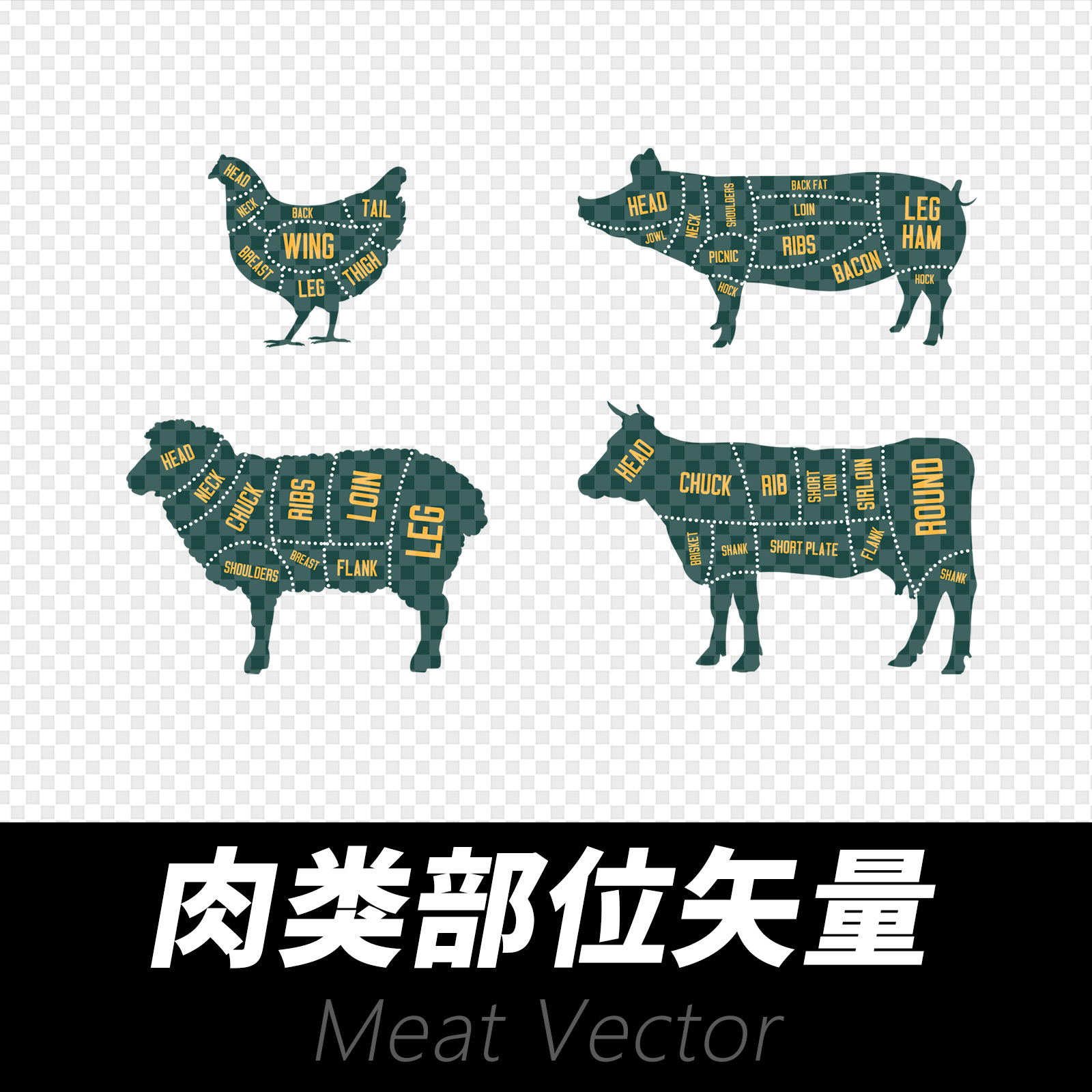 肉类部位分割矢量设计素材 猪肉牛肉羊肉鸡肉 超市示意图画Ai
