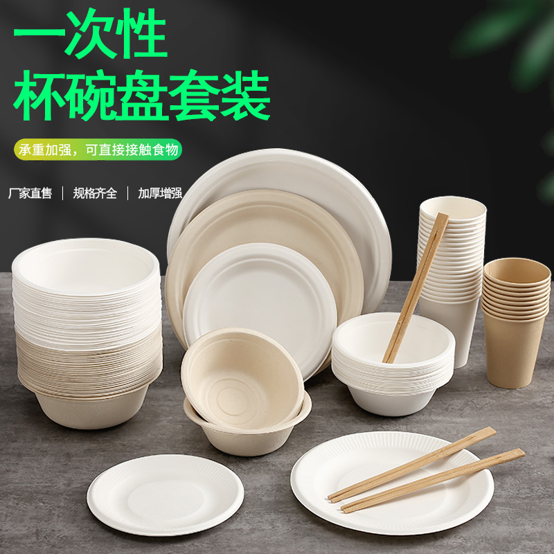 一次性碗盘筷聚会杯子套装家用户外纸碗餐具幼儿园画画手工绘画碟