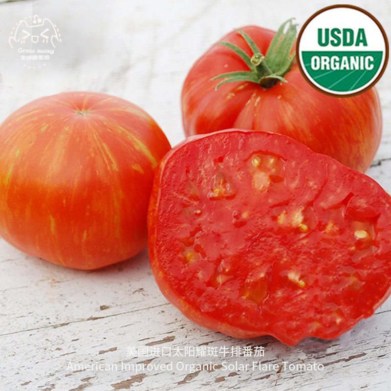 太阳耀斑牛排番茄种子皮薄多汁美国进口传家宝有机阳台盆栽蔬菜