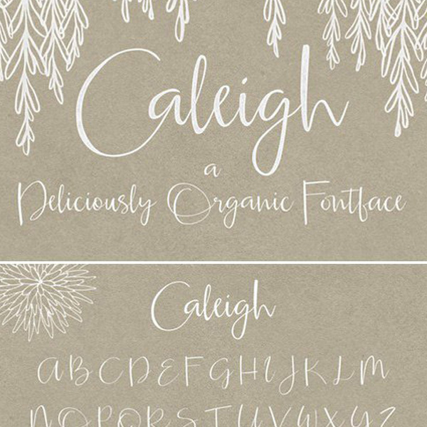 20号Caleigh纤细飘逸优雅连笔手写贺卡邀请函签到英文字体PS素材