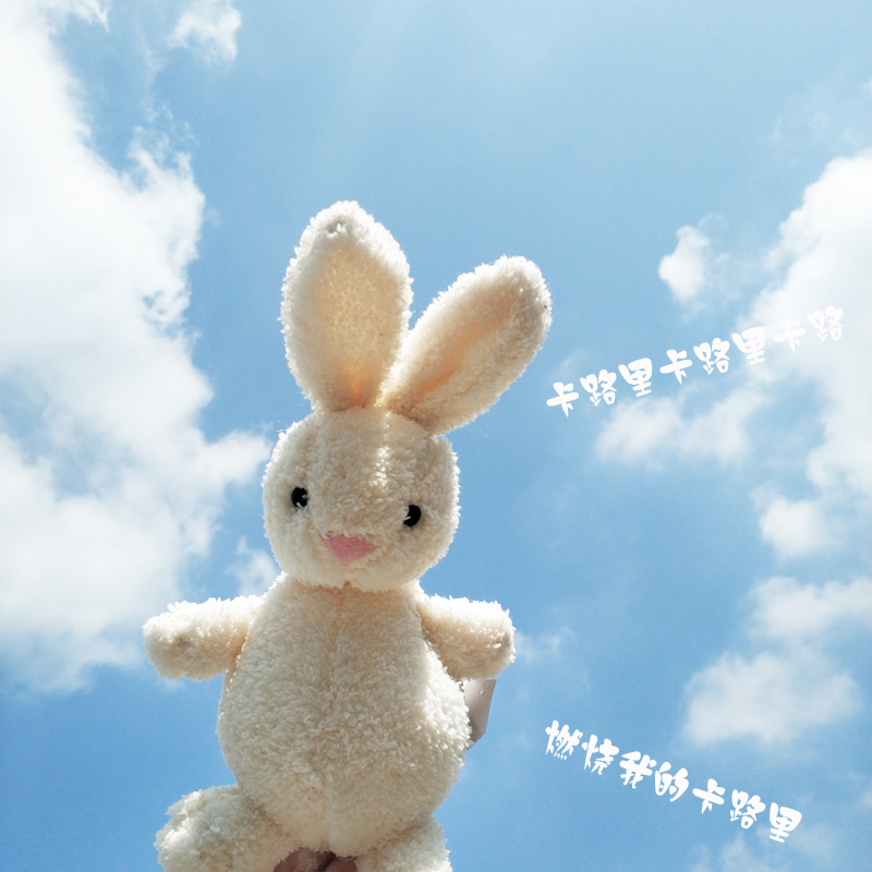 白色兔子公仔毛巾绒宝宝兔玩偶柔软小玩偶儿童玩具女孩手拿小兔子
