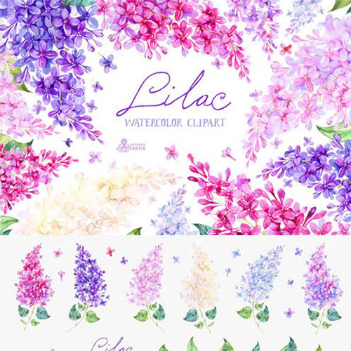 手绘小清新的水彩森女风手绘粉紫色水彩花朵png高清素材婚礼手账