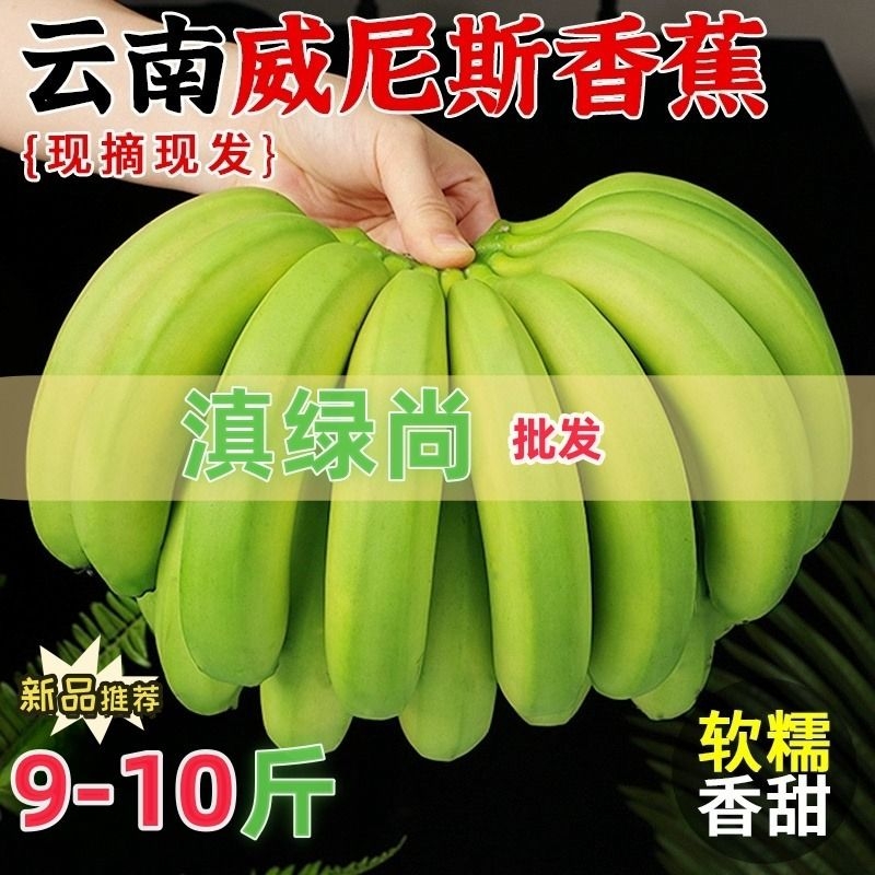 云南高山香蕉新鲜水果当季自然熟10斤大芭蕉小米蕉甜香蕉整箱批发