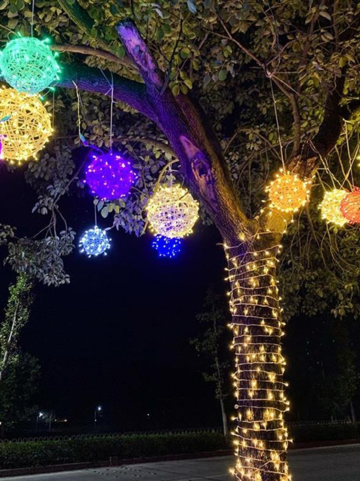 户外防水led彩灯藤球挂树灯装饰圣诞景观树新年气氛灯室外摊位