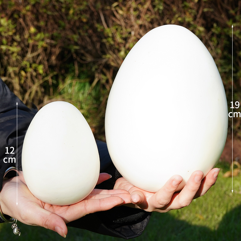 仿真鸡蛋鹅蛋鸭蛋鸵鸟蛋恐龙蛋鹌鹑蛋巨蛋假鸡蛋模型橱窗摄影道具