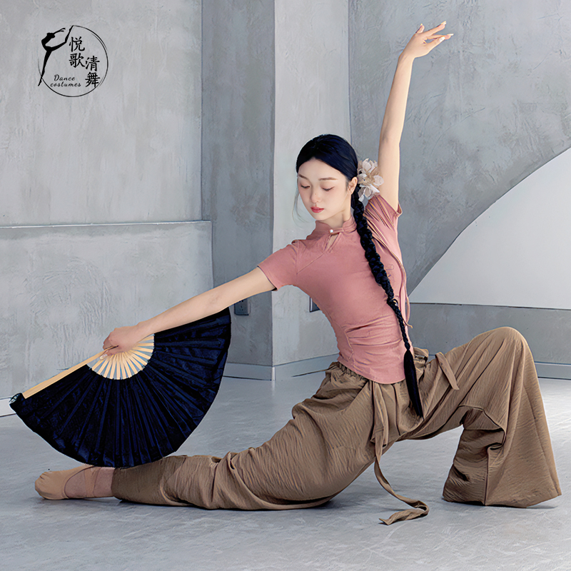 古典舞新款上衣艺考形体服现代舞长袖中国舞旗袍立领舞蹈生练功服